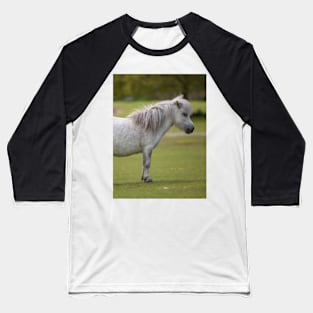 Miniature Horse. Baseball T-Shirt